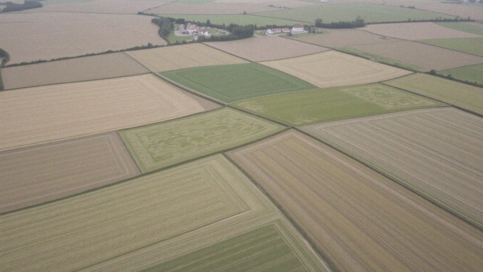 Jakie dane ewidencyjne są dostępne na mapie działek?