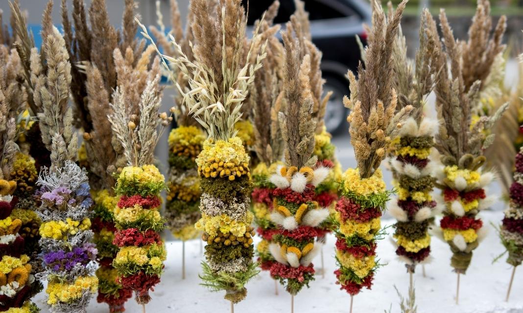 Wyjątkowe obchody Niedzieli Palmowej w Sierpcu: Tradycja, Kultura, Wspólnota